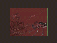 Micro Surgery